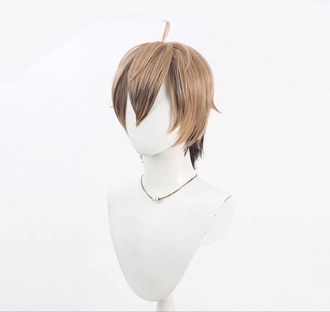 桃源暗鬼 とうげんあんき 皇后崎迅 こうがさきじんウィッグ コスプレ