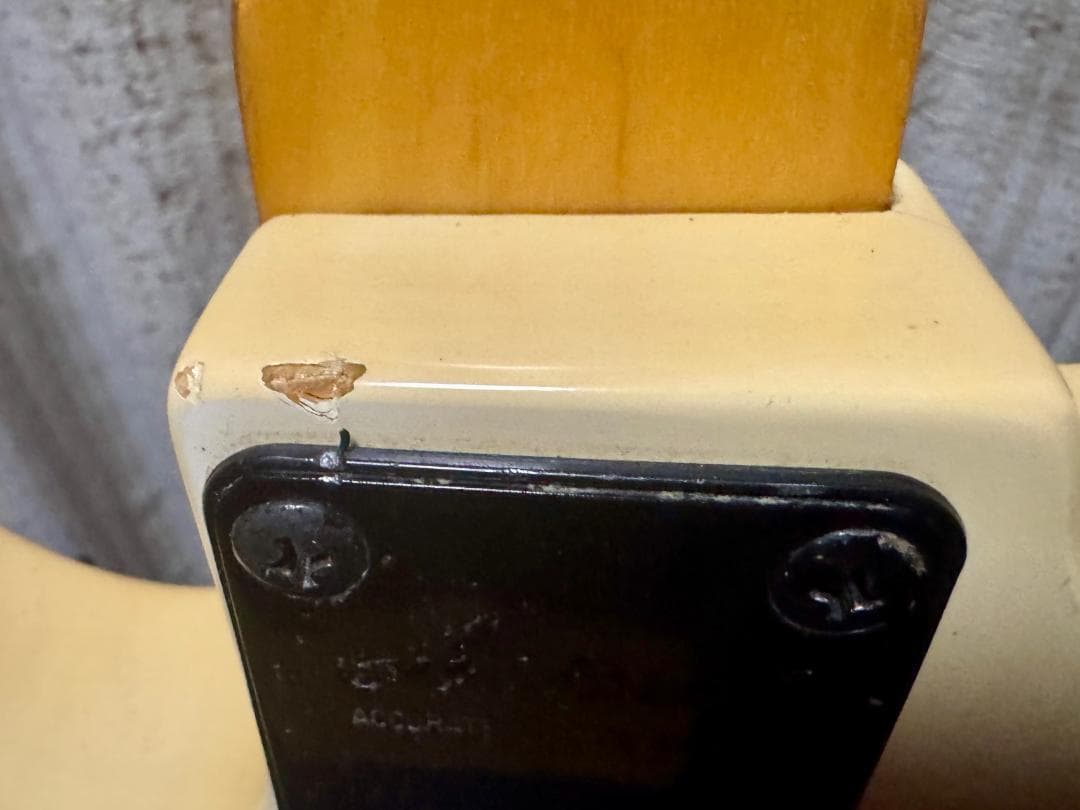 ね*こ様 Aria ProⅡ Diamond Series White ソフトケ - メルカリ