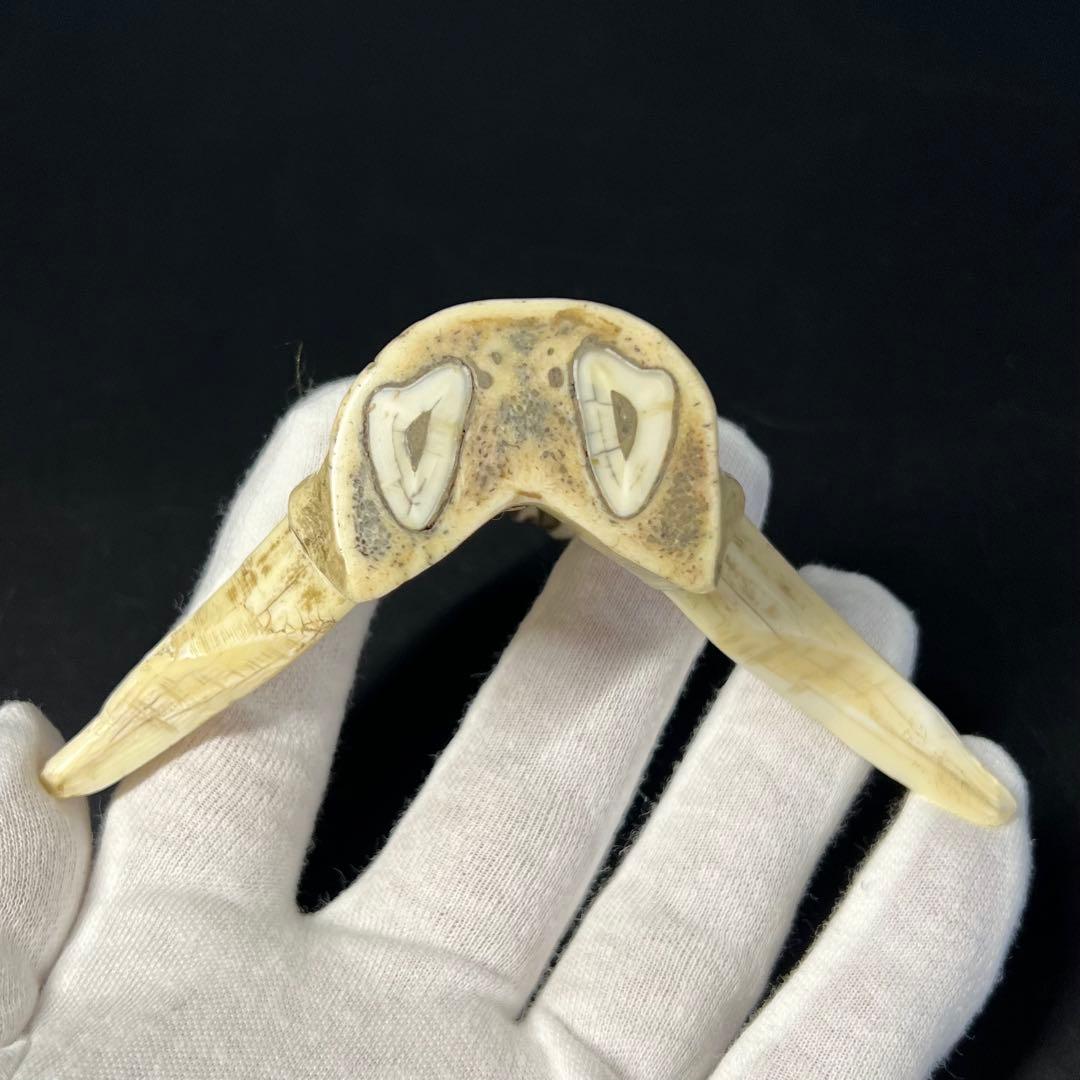 ◎古道具 庵々◎江戸-明治期 獣牙根付□提げ物山伏猟師魔除け呪物