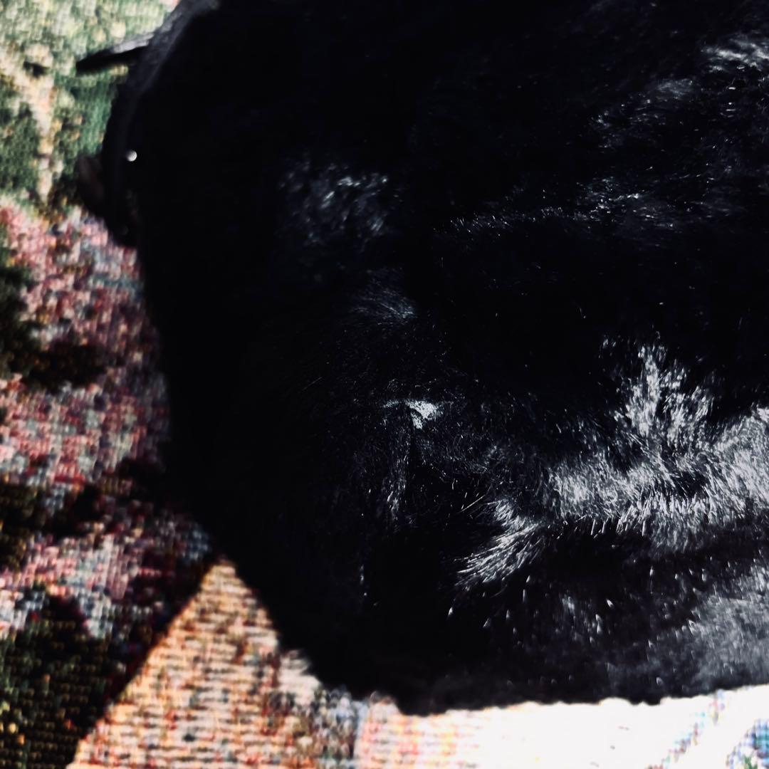 希少”ロンシャン プリアージュ ラビットファーハンドバッグ 黒色