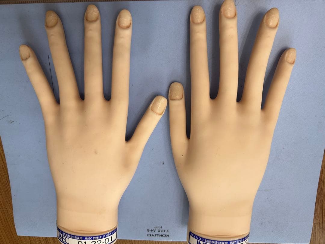 JNEC認定モデルハンド　練習用 JNEC認定モデルハンド STモデルハンド 楽天市場】JNEC認定 STモデル