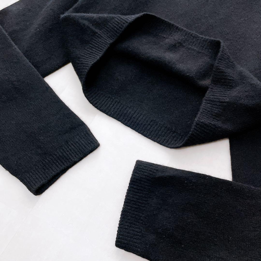 美品✨THE SHISHIKUI シシクイ ウールカシミヤ クルーネックニット