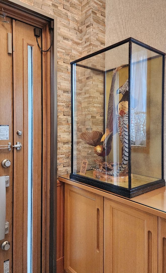 特大 銀鶏鳥 錦鶏鳥 剥製 置物 高級木製枠ガラスケース - メルカリ