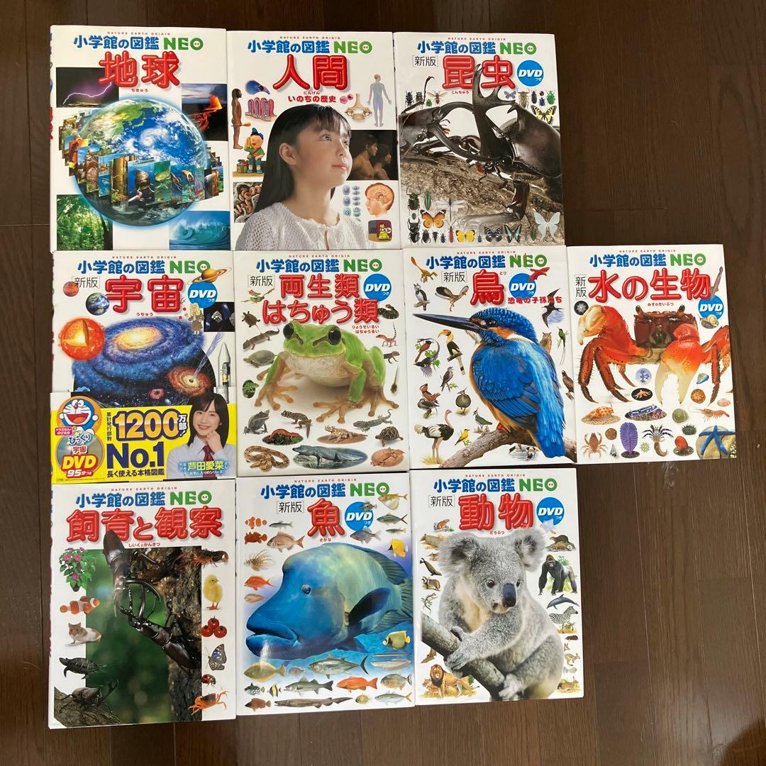 小学館の図鑑NEO 10冊