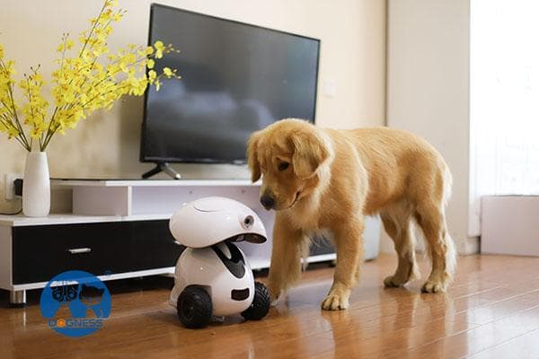 Dogness ペットボー（ペットのアイボ）白 Dogness ペットボー（ペット