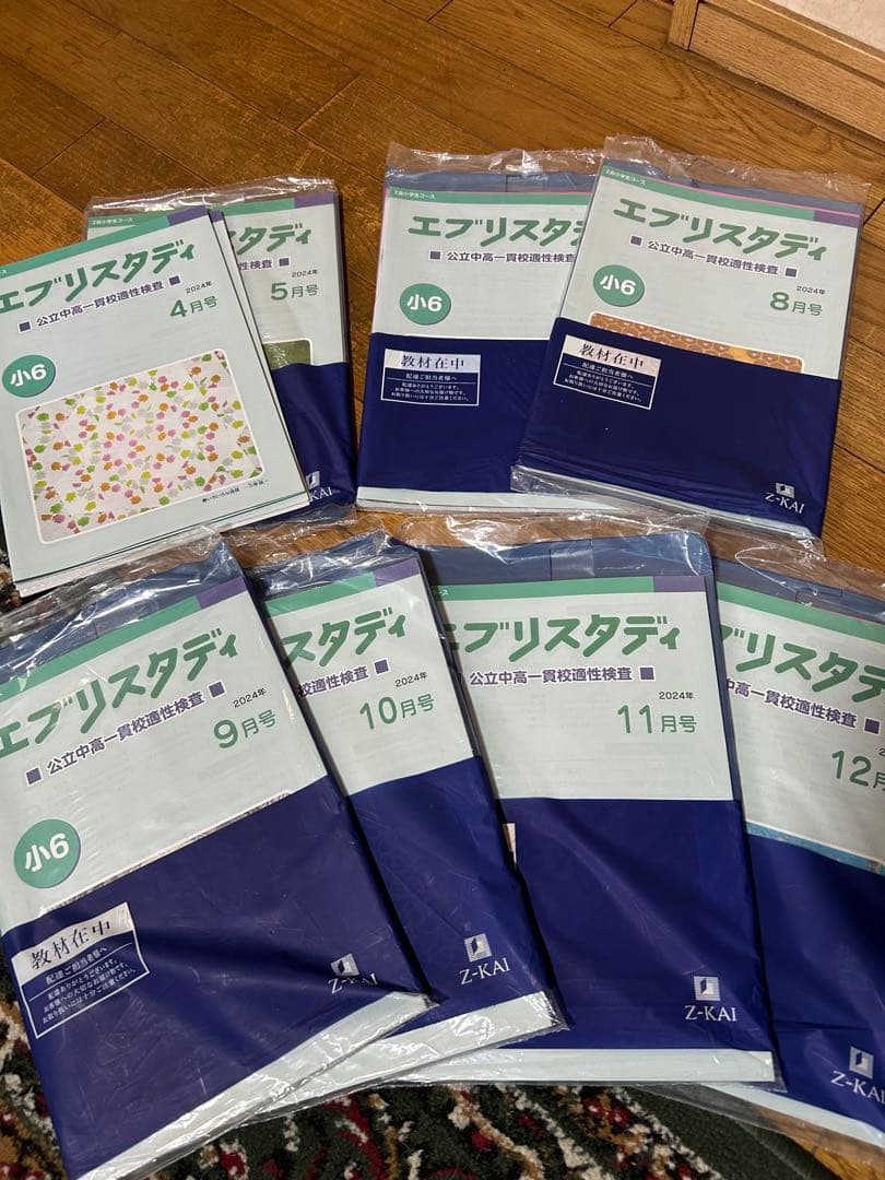 エブリスタディ　中高一貫校　小６　2024年 公立中高一貫校受検コース 2026年度本科【新小学6年生】 ｜難関校受験