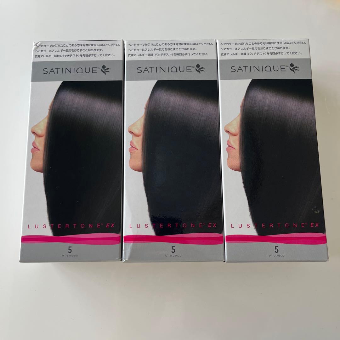 まとめ売り　Amway サテニーク ラスタートーン 5 ダークブラウン アムウェイ サテニーク ラスタートーン EX 5（ダークブラウン） Amway