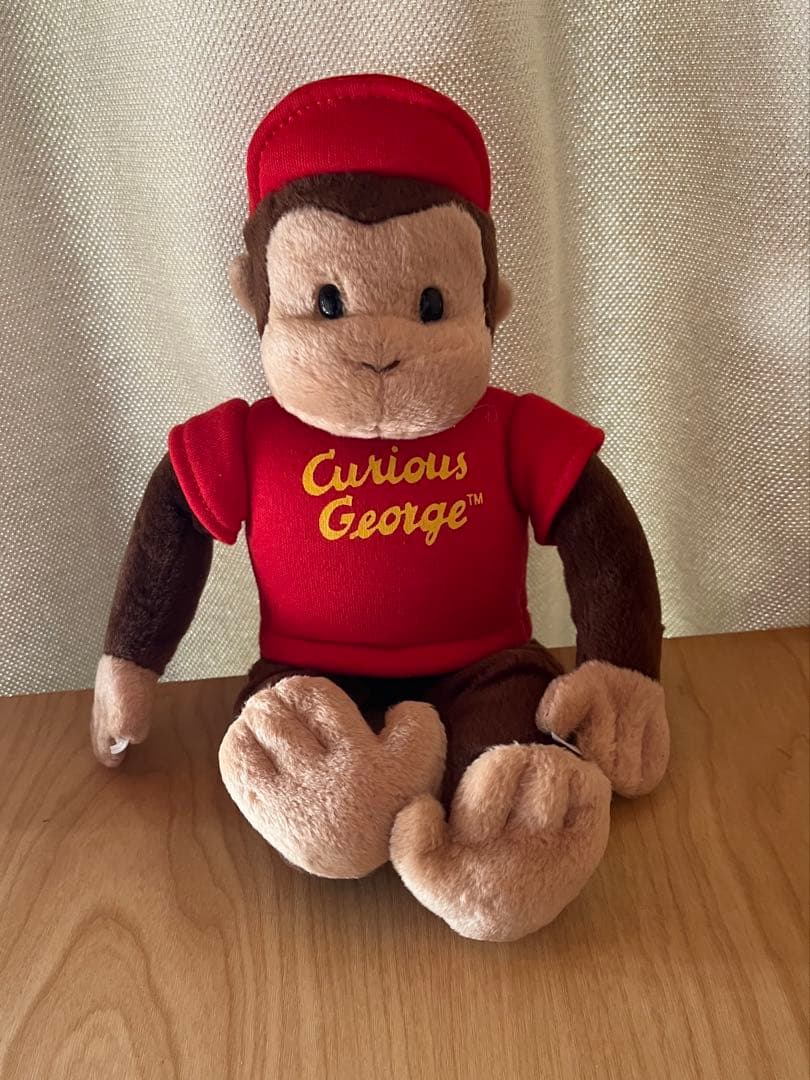 ✴︎90年代✴︎希少✴︎美品✴︎Curious e Adventures