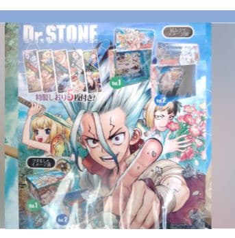 即決有！新品未開封 Dr.stone ドクターストーン 全巻収納ボックス BOX