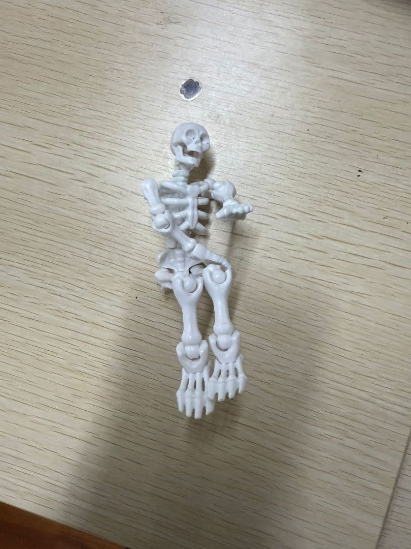 可動式ホワイト人体模型 人体模型 人体骨格模型 骨格標本 45cm 1/4 モデル ホワイト 台座 可動