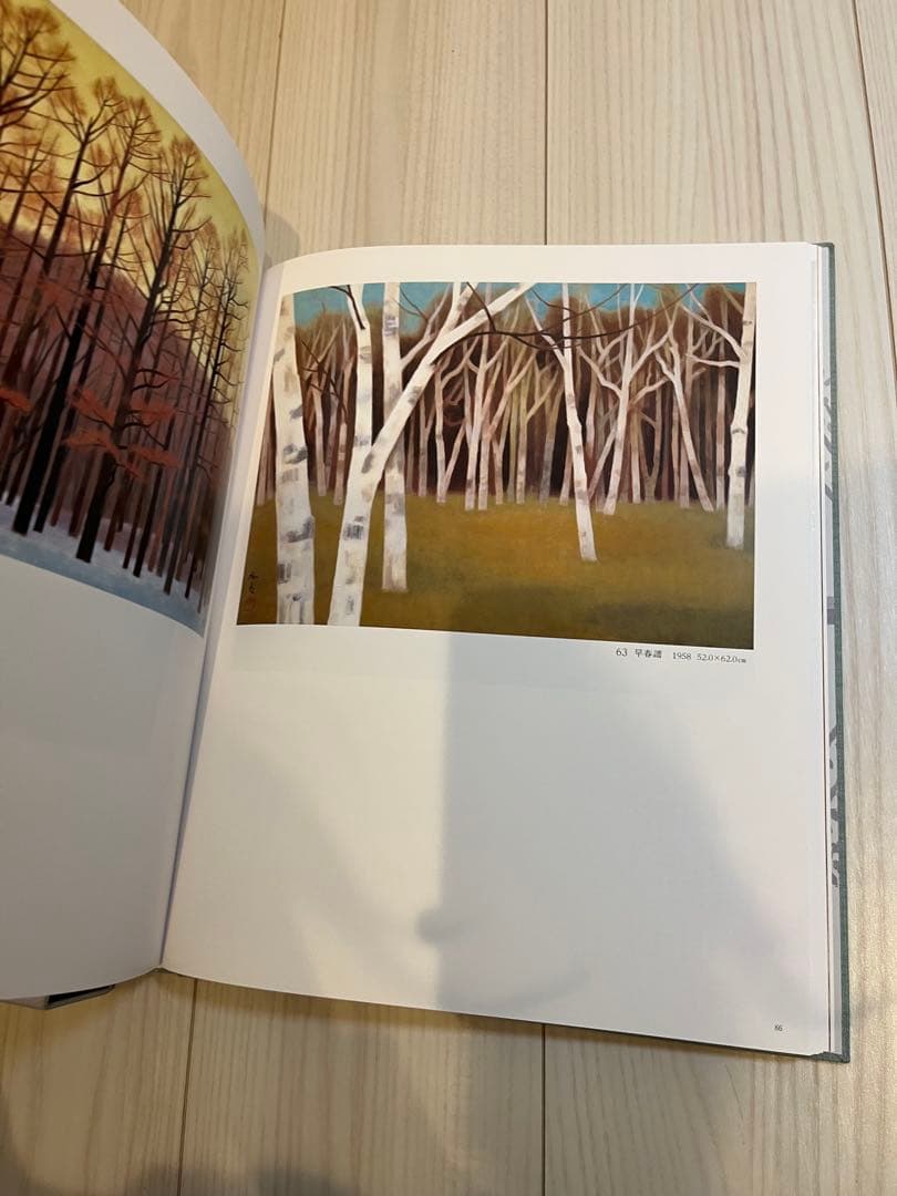 東山魁夷 風景との解逅