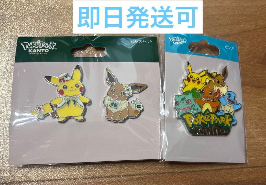 ポケパークカントー ピンバッジ オープン記念ピンズ&ピカブイピンズ