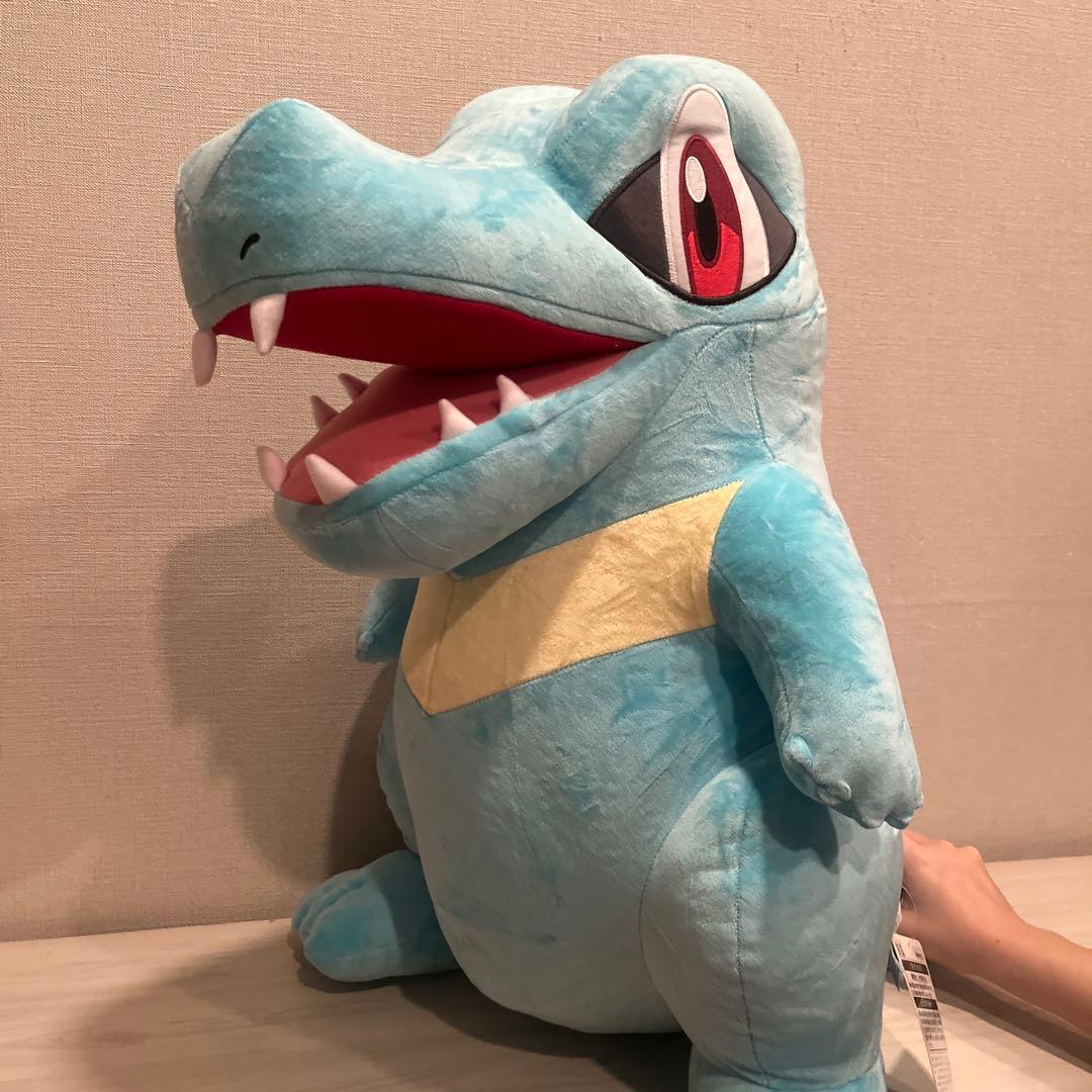 ポケモンぬいぐるみ ワニノコ等身大 60cm - メルカリ