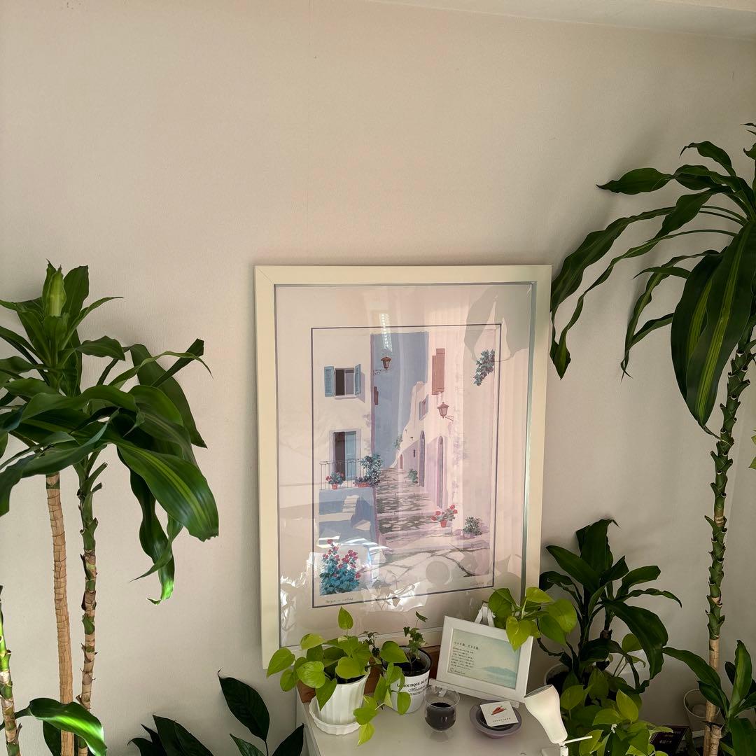 SALVO サルボ】Borgo in collina (階段)白フレーム - メルカリ