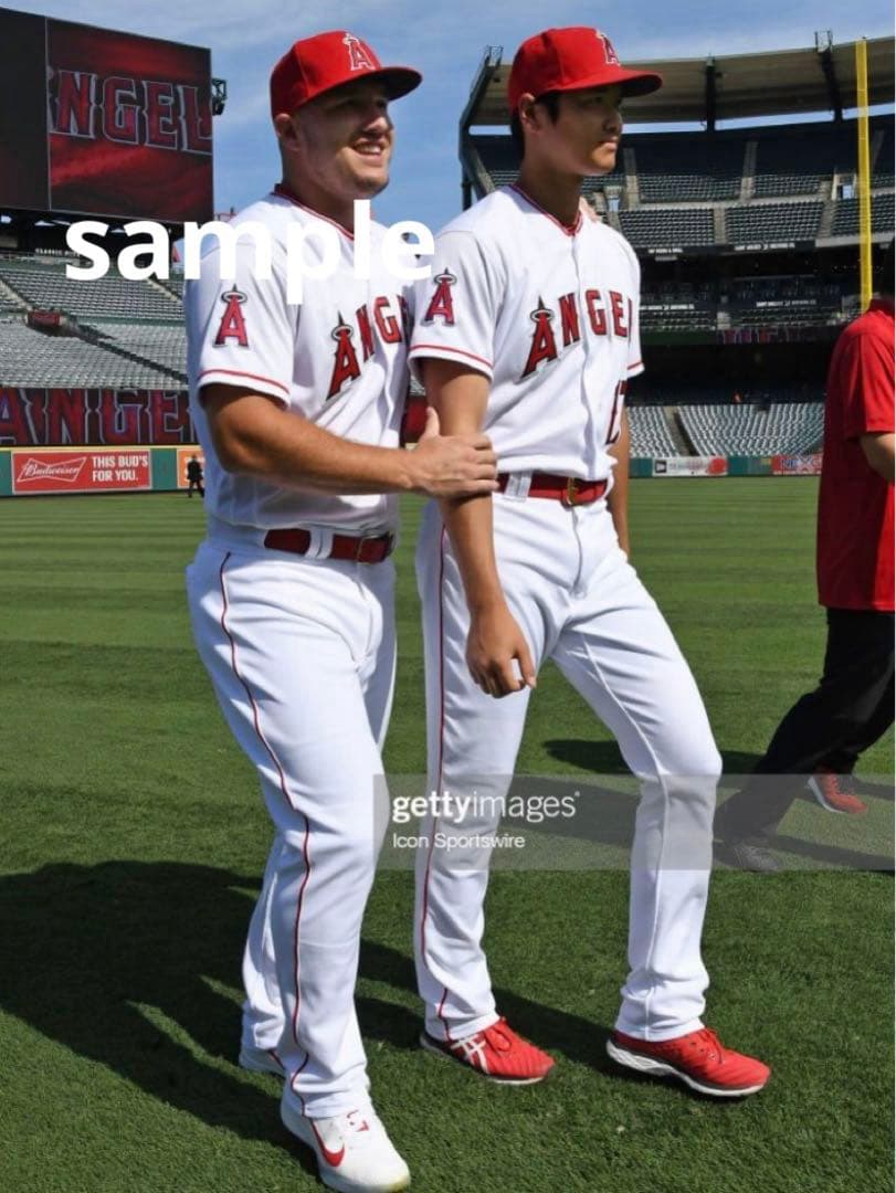 MLB エンジェルス 大谷翔平 19選 ☆149 選択購入可能