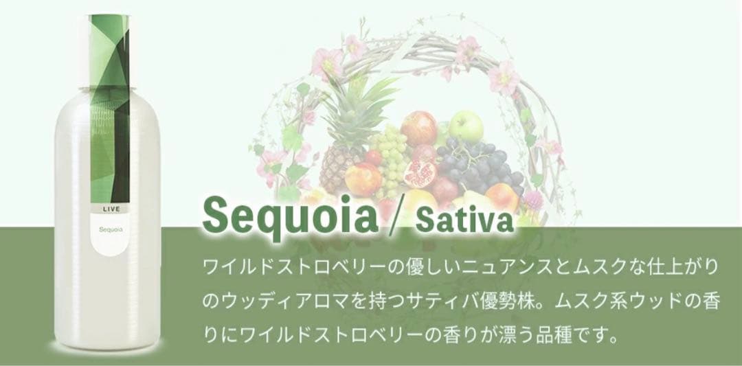 Eybna イブナ 香料 CBD CBN CBG 10ml セコイア