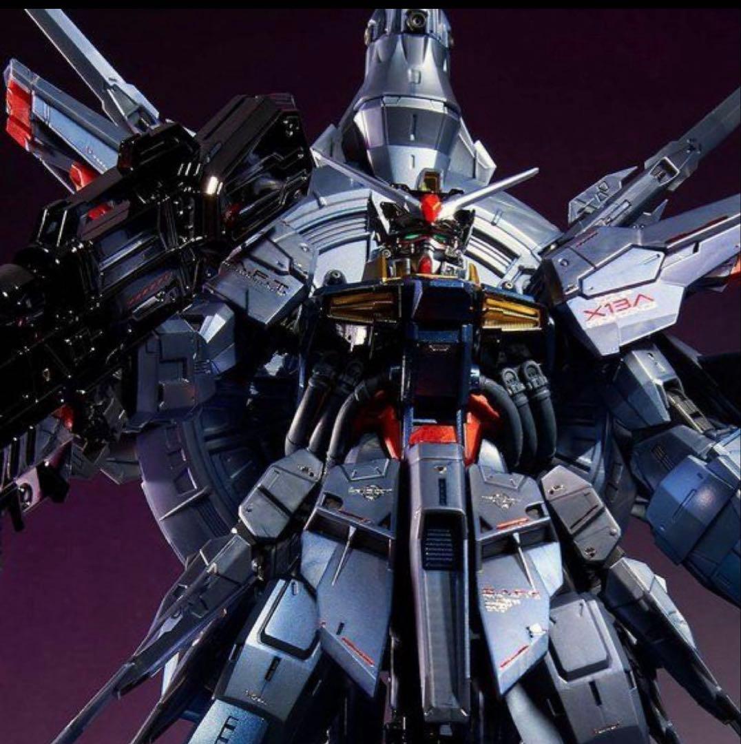 ＭＧ 1/100 プロヴィデンスガンダム [スペシャルコーティング]　プレバン MG 1/100 プロヴィデンスガンダム [スペシャルコーティング]【再販