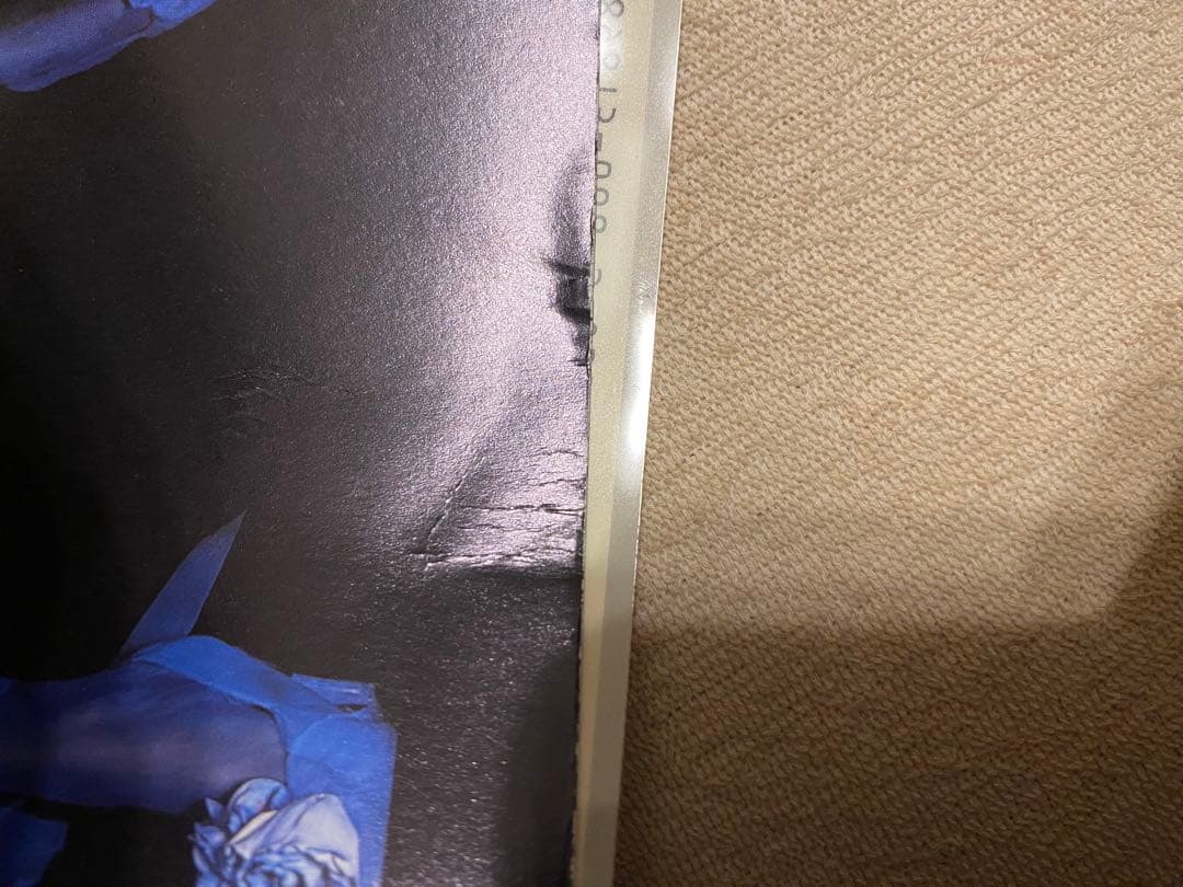 早川タケジ リトルモア　衣装魔術 パラディ、パラディ 1974-2002