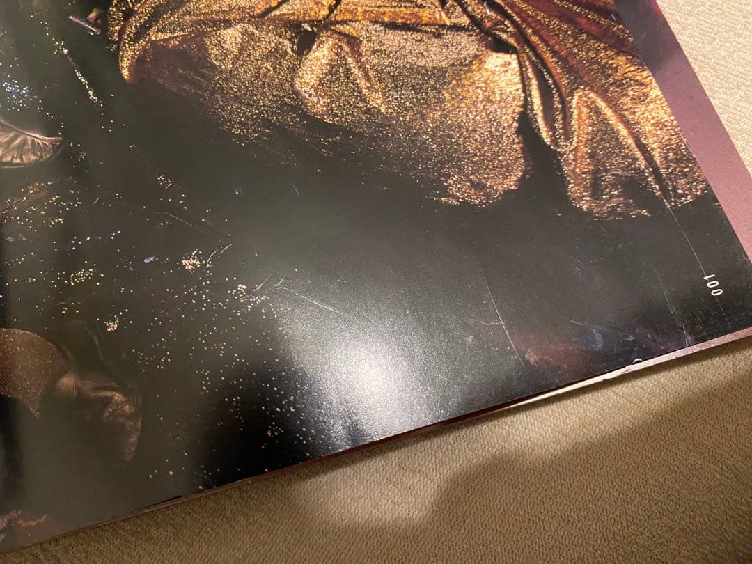 早川タケジ リトルモア　衣装魔術 パラディ、パラディ 1974-2002