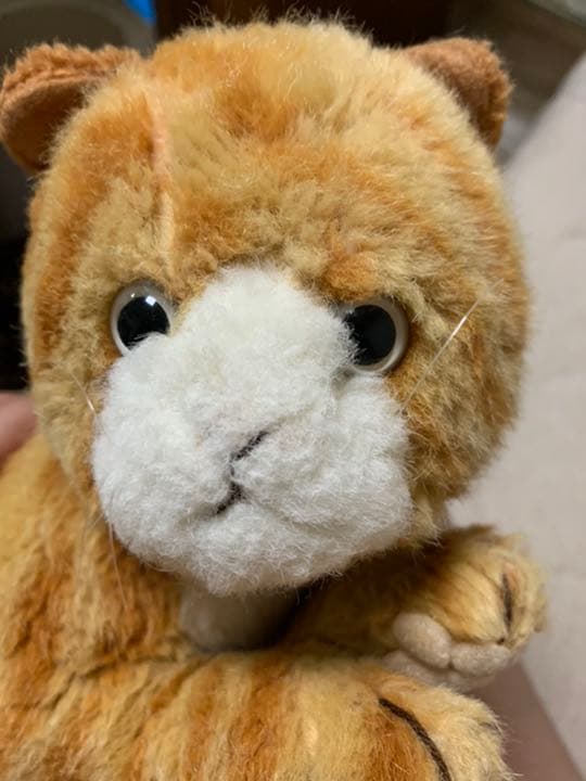 ホワッツマイケル　サンアロー　ぬいぐるみ　値下げ Amazon.co.jp: ホワッツマイケル ぬいぐるみ サンアロー 猫 当時物