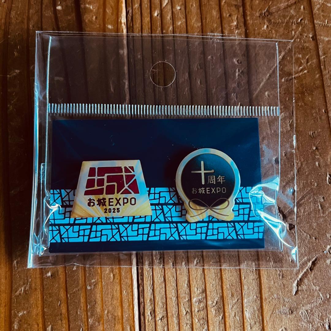 専用dentanaka様 お城EXPO 2025 10周年 ピンバッジ セット - メルカリ