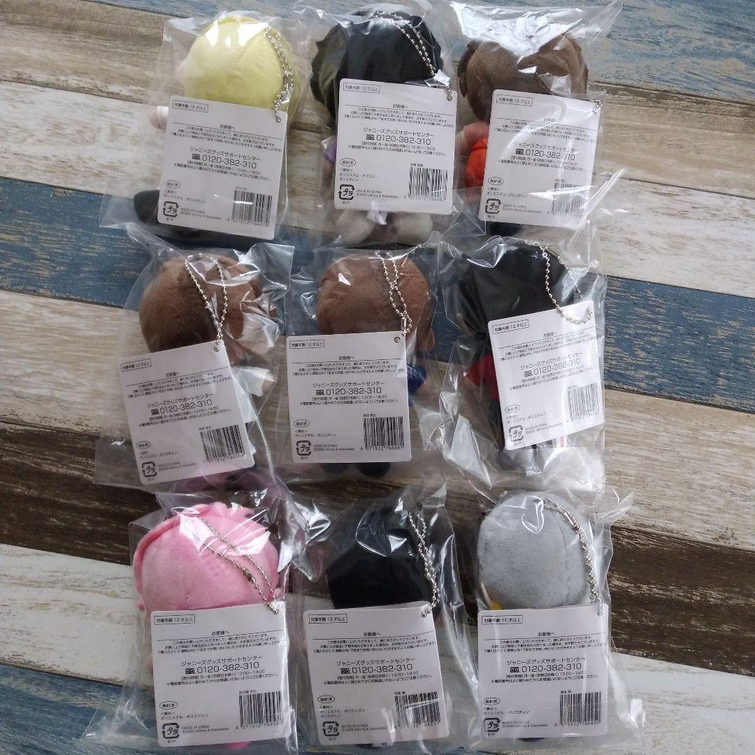 即購入〇 未開封 SnowMan すのチル ぬいぐるみ 全員 全種 - メルカリ