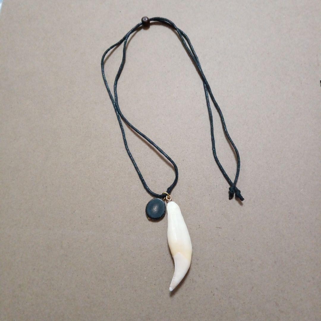 熊牙ネックレス 水牛の角チャーム付き - メルカリ