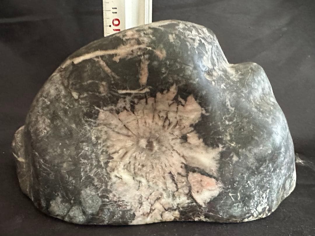 菊花石 薄紅菊&白菊 2.5kg 手彫り台座付き/水石 鑑賞石 鉱物