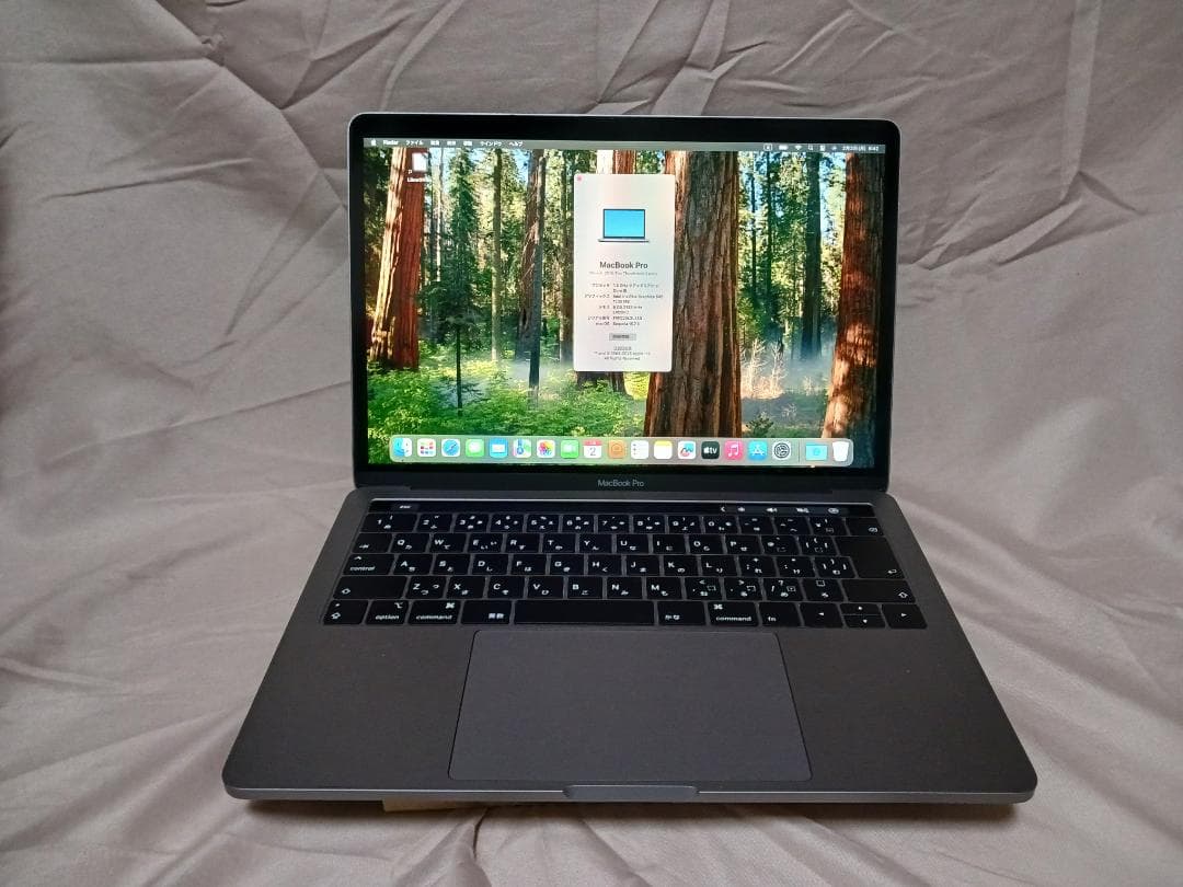 QC1.4G/8GB/128GB仕様　MacBook Pro 13 A2159 13 Inch MacBook Pro A2159 | 4.5Ghz Turbo Core i7 | SEQUOIA | Space Gra