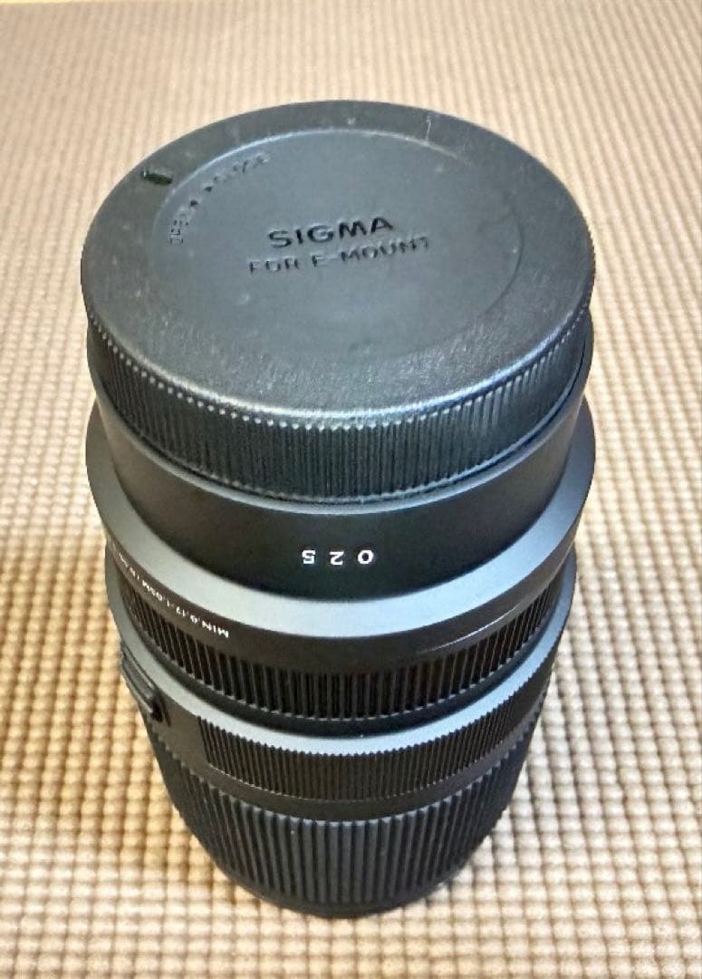 SIGMA 16-300mm F3.5-6.7 DC OSズームレンズ SONY