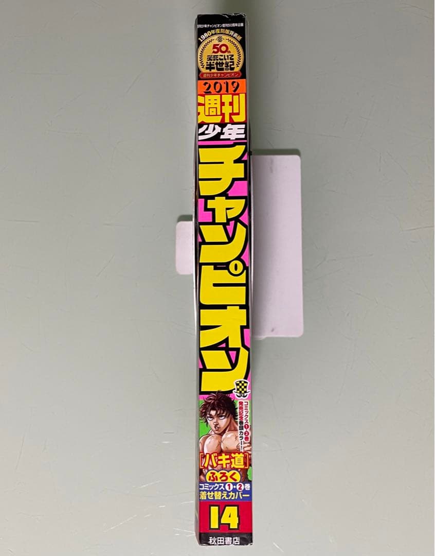 バキ道 着せ替えカバー 野見宿禰 範馬刃牙 - メルカリ