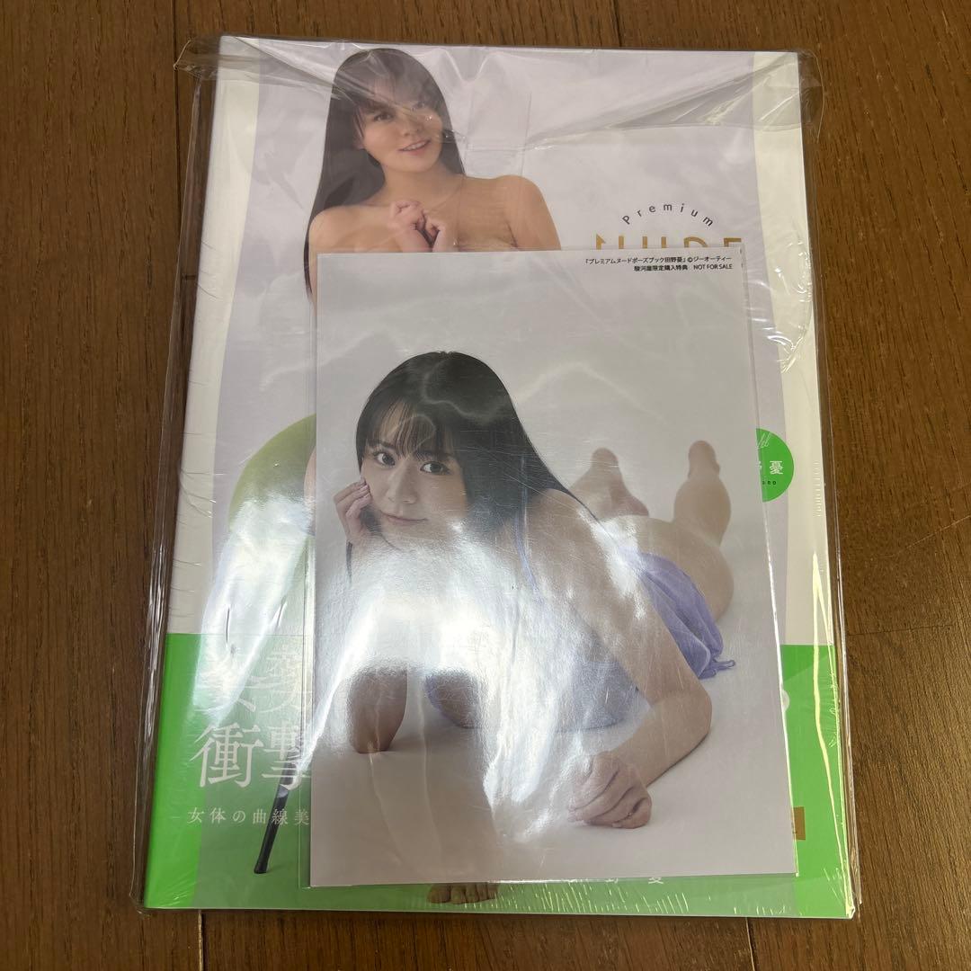新品未開封　プレミアムヌードポーズブック 田野憂2L判ブロマイド付