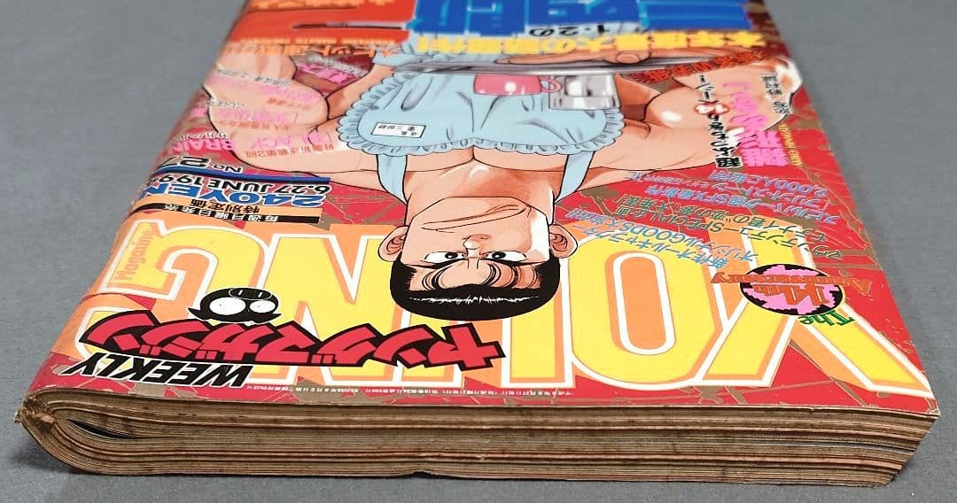 週刊ヤングマガジン1994年6月27日27号『1・2の三四郎2』表紙/小林