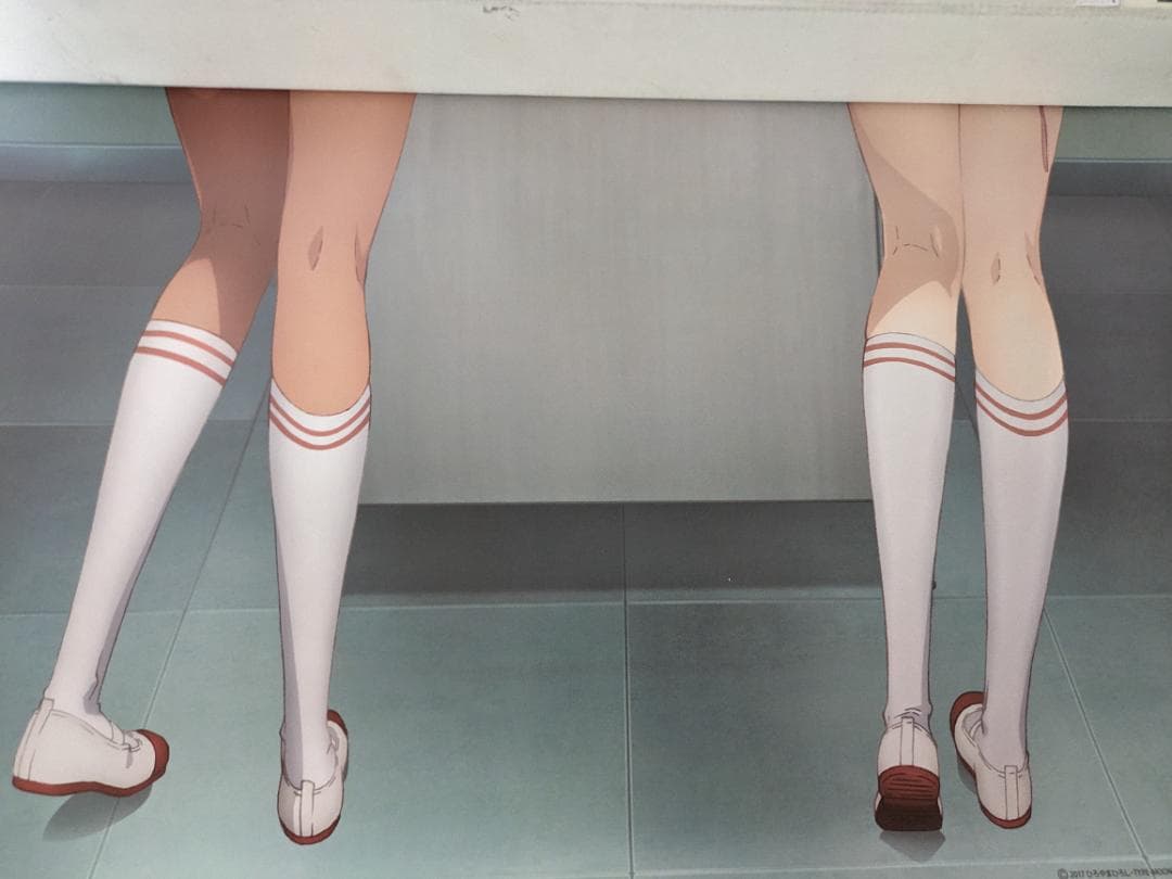 劇場版プリズマ☆イリヤ 雪下の誓い B2お風呂ポスター - メルカリ