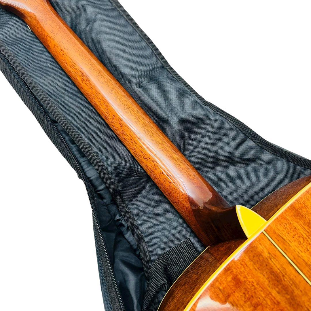 ibanez アコースティックギター artwood AW-10 - メルカリ