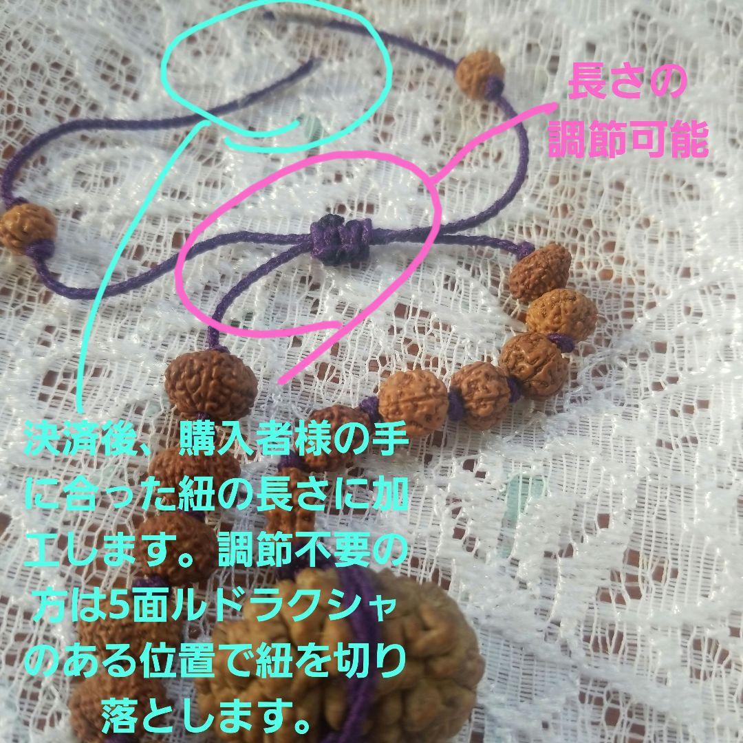 10/5までの出品】ルドラクシャ1面～14面+ガウリーシャンカラ+