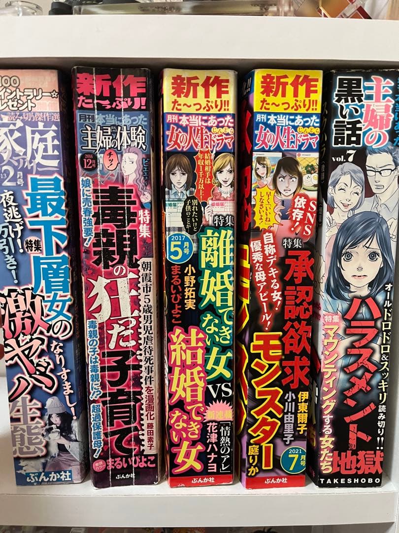 レディコミ レディースコミック 5冊セット - メルカリ