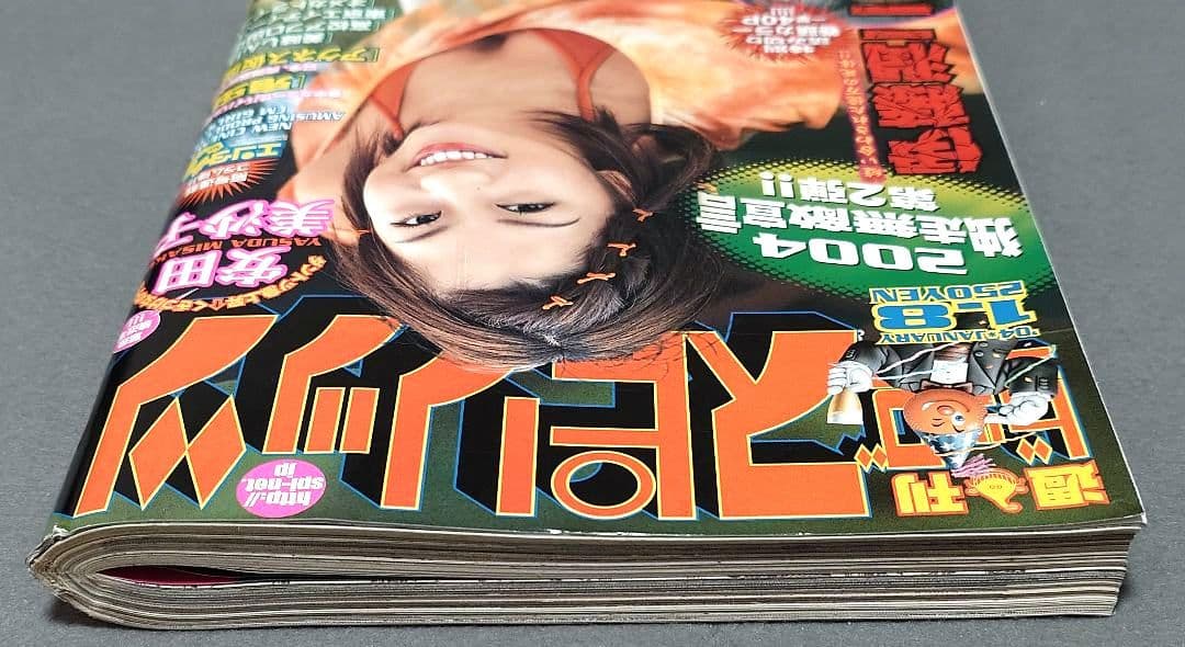 週刊ビッグコミックスピリッツ2004年1月8日2号『億万ぼっち』読切/伊藤