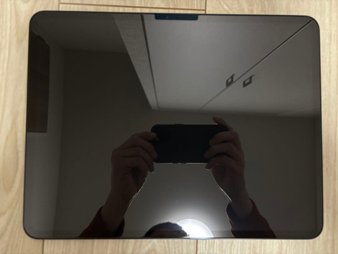 M4iPad Pro13インチ256GB スペースブラック Apple iPad Pro 13 Wi-Fi