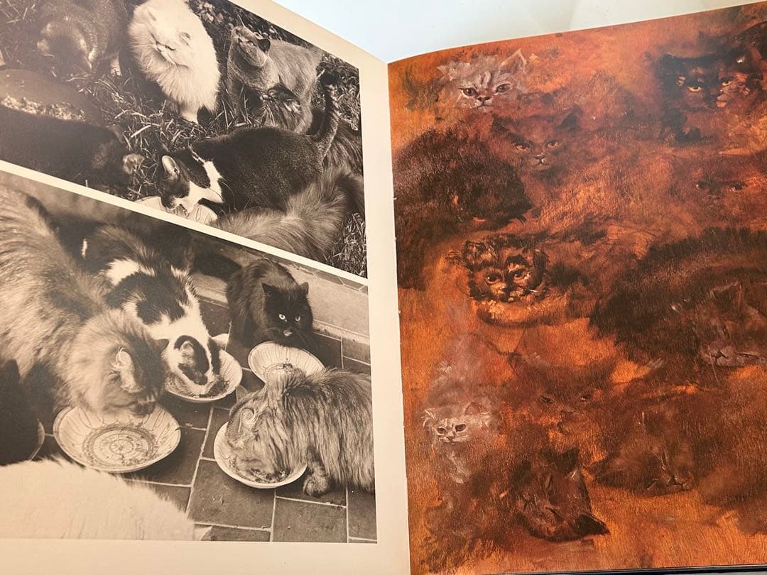 大型猫本Leonor Fini MIROIR DES CHATSレオノールフィニ - メルカリ