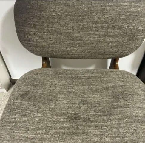 本日限定値下げ！ニトリダイニングチェアNシールドファブリックペット