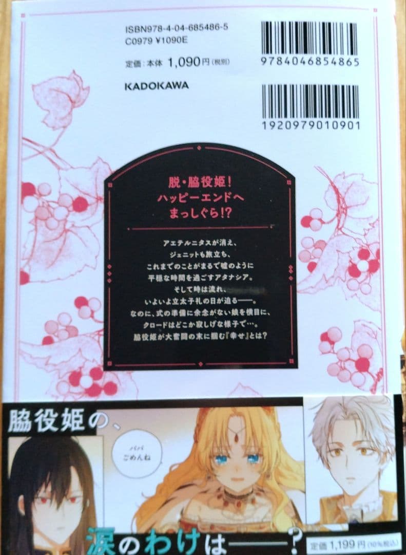 ある日、お姫様になってしまった件について 13 新刊 1月 カラー 最終巻