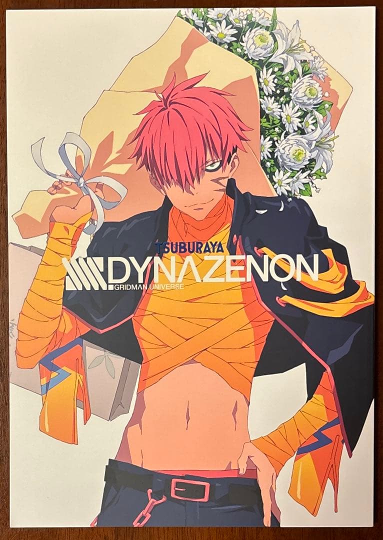 ssss.dynazenon お疲れさま本 Amazon.co.jp: SSSS.DYNAZENON & GRIDMAN ヒロインアーカイブ : Febri