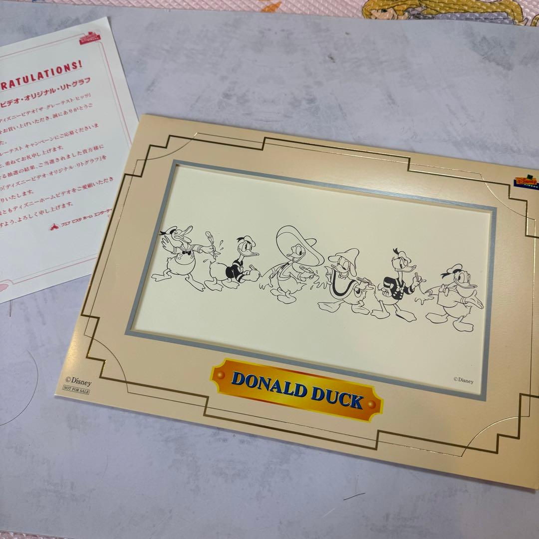 非売品】【当選品】ディズニー ドナルドダック オリジナルセル画