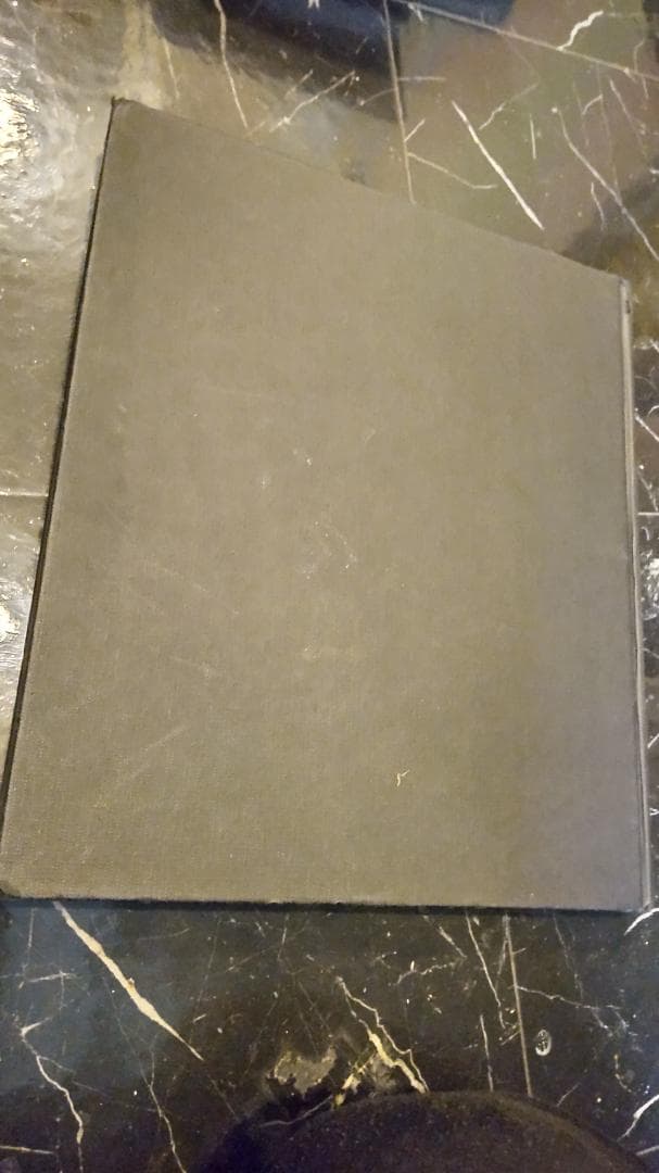 FOXY LADY チェイコ・レイドマン CHEYCO 写真集