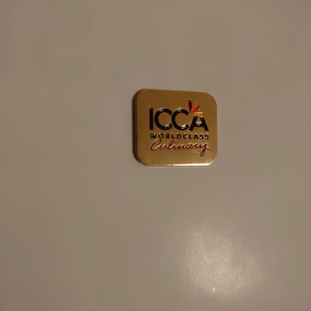 大阪•関西 万博 UAEパビリオン ICCAピンバッジ - メルカリ