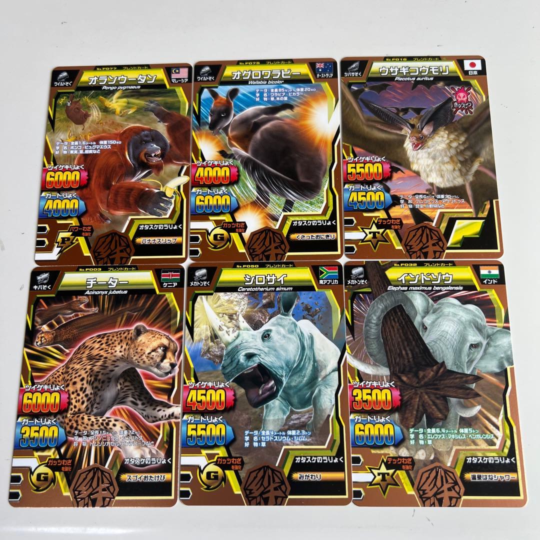 希少レア】グレートアニマルカイザー 銅レア フレンドカード 6枚セット