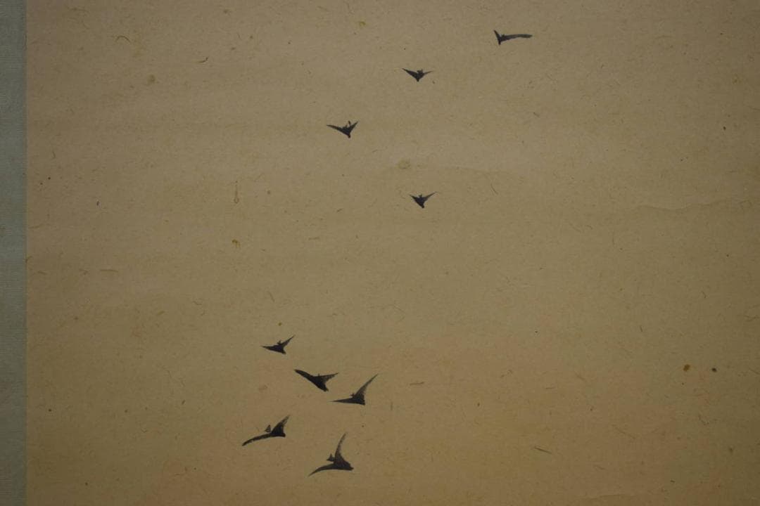 真作/備後福山生/羽田桂舟/人物図/座頭/布袋屋掛軸HI-503 - メルカリ