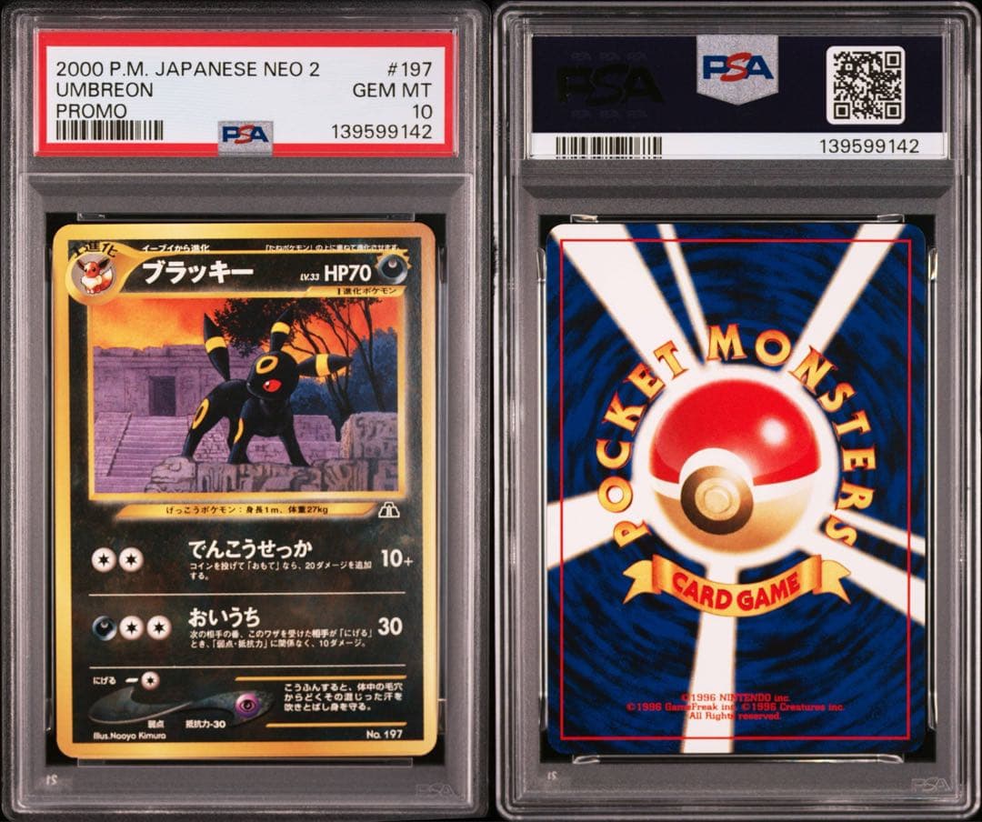 新ケース】 PSA10 ブラッキー プレミアムファイル2 プロモ ポケカ 旧裏
