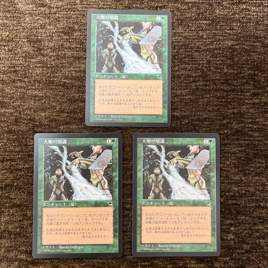 MTG 大地の知識 2枚セット